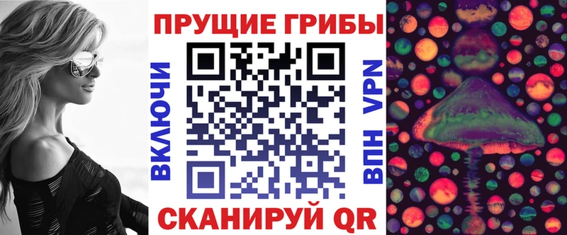 Псилоцибиновые грибы Psilocybine cubensis  KRAKEN маркетплейс  Сураж 