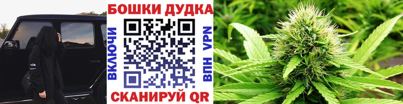 МАРИХУАНА план Сураж